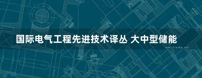 国际电气工程先进技术译丛 大中型储能电池的研究进展